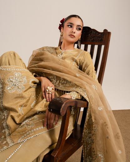 IRYA